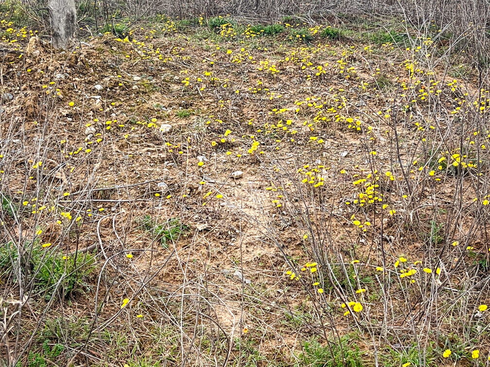 23-03-17 13-40-17 4909